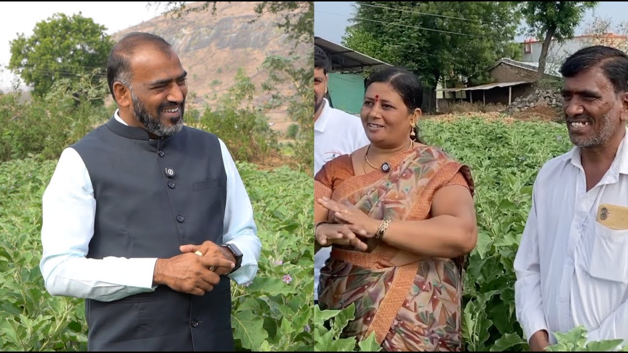 SCTवैदीक🍆वांगी पिकवून कृषीकन्येने फेडले पतीचे केमिकलचे कर्ज‼️मंदीत 15 हजारात 1.25 लाख उत्पन्न‼️