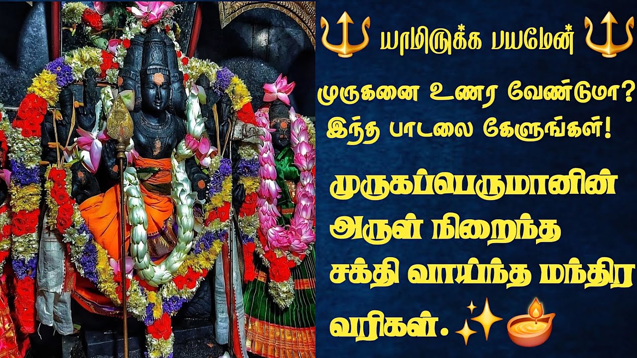 வீட்டில் ஒலித்தாலே போதும்! தீராத வினைகள் தீரும் 'சண்முகனே முருகா'பாடல்/Murugan Devotional song🙏✨ 