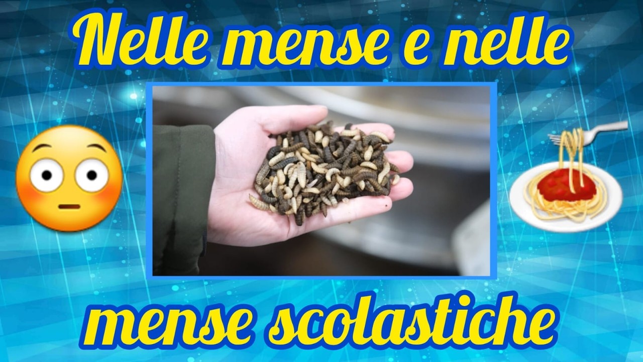 Produttori d'insetti chiedono all'UE l'obbligo di acquisto!