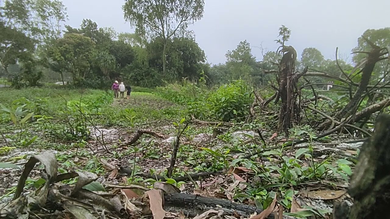 A Journey Through the Breathtaking Landscapes of My Homeland