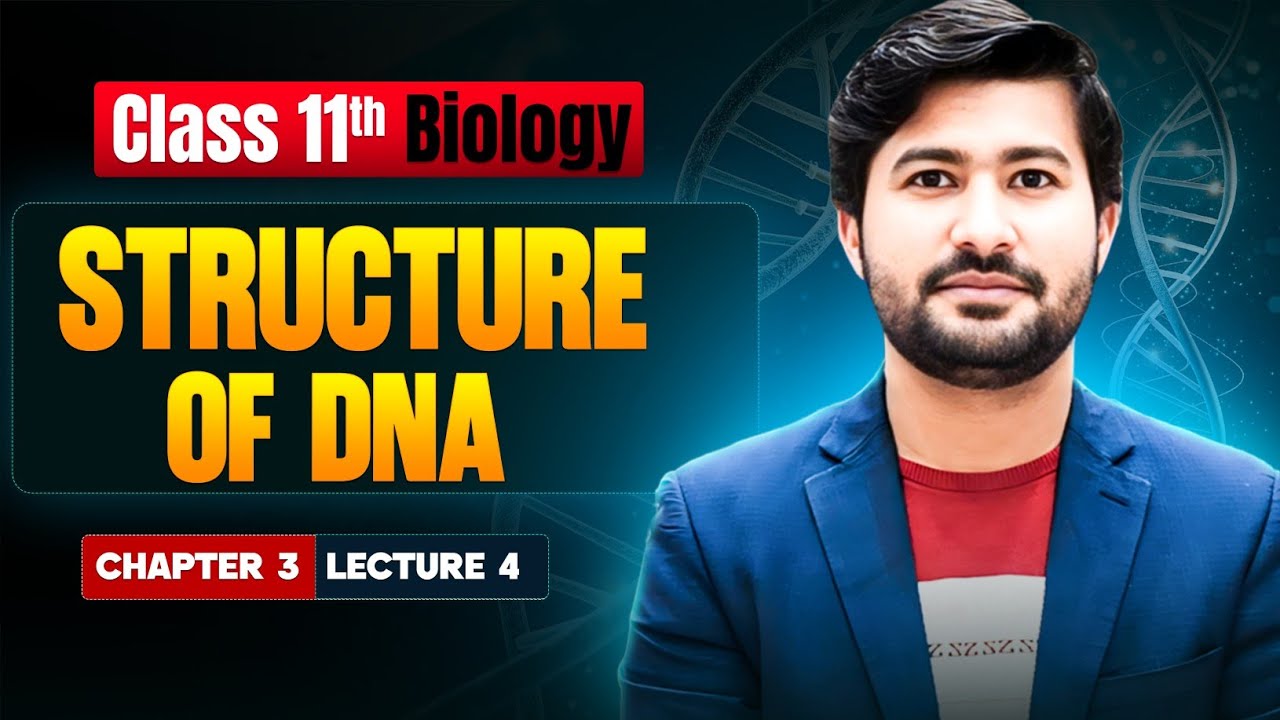 Structure of DNA | Watson and Crick model of DNA | Class 11 biology chapter 3 by irtisams biology 