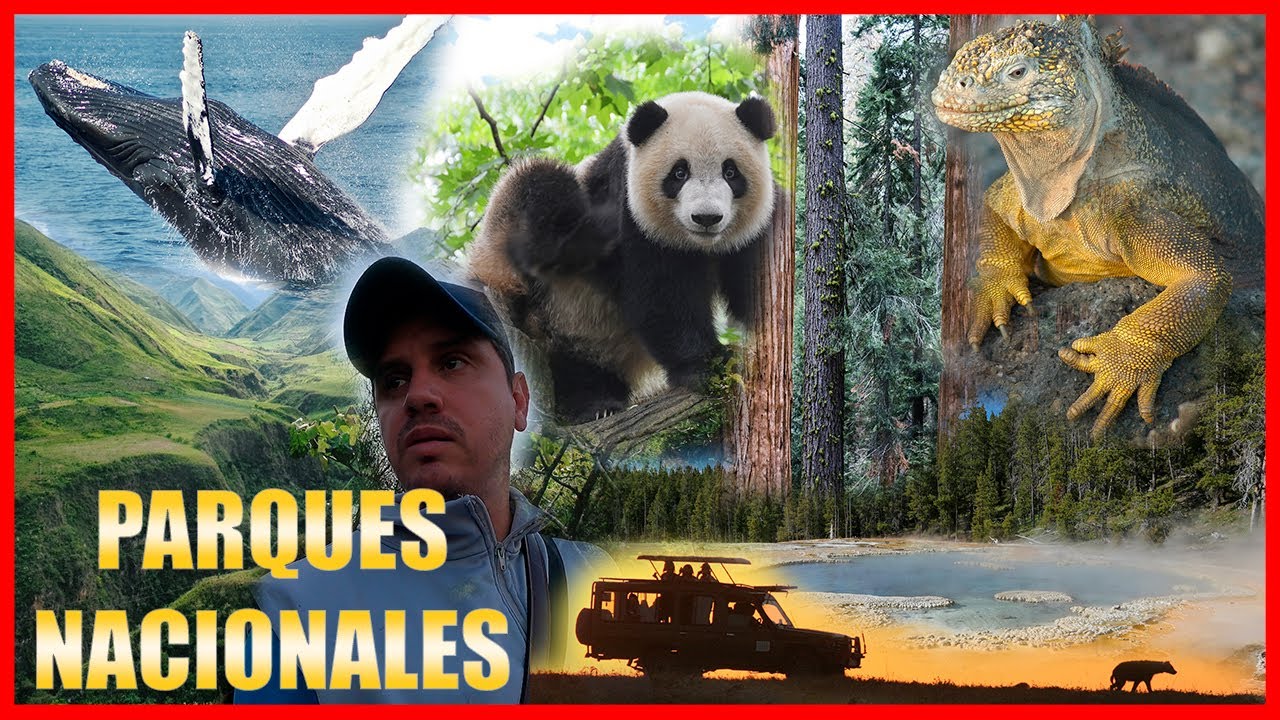 Caminemos y Hablemos de los Parques Nacionales