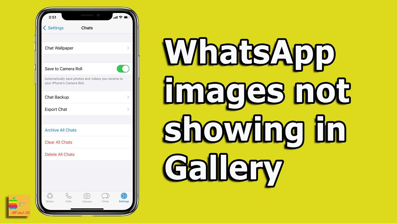 Изображения WhatsApp не отображаются в галерее (для iPhone) &mdash; 3 способа решения