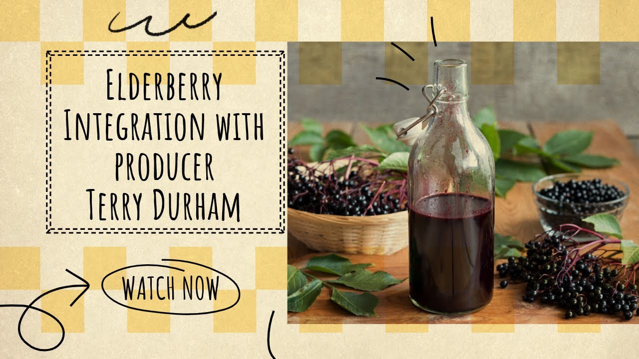 Elderberry Integration with producer Terry Durham