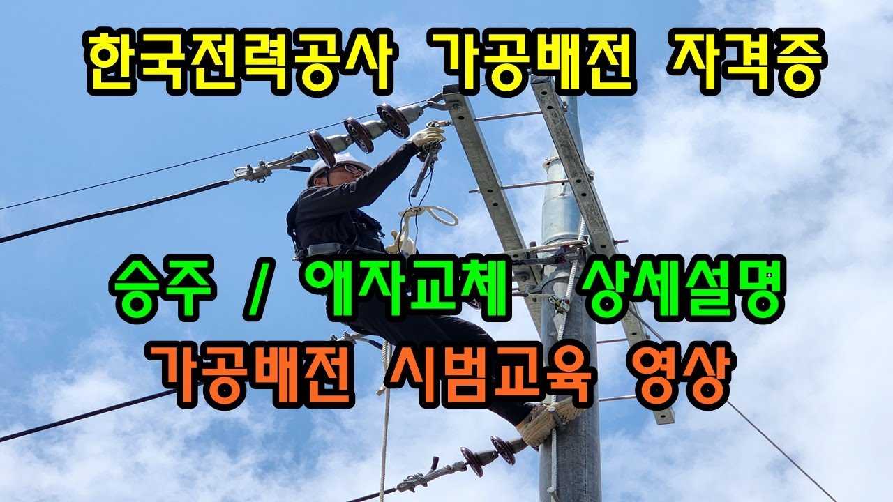 한국전력공사 가공배전 자격증 승주 애자교체 가공배전작업 교육 상세설명 시범교육 진행