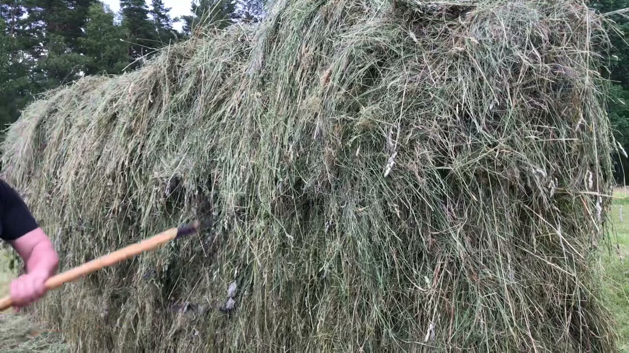Hässja hö - att göra en hässja - till självhushållning eller annat