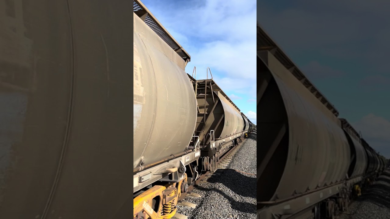 Aurizon P2509 Passing Through Harvey #freighttrain #train #trainspotting #shorts #shortvideo