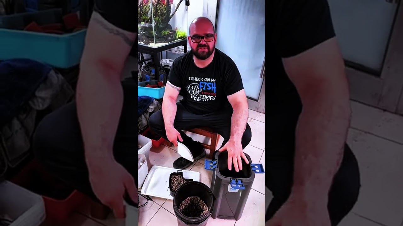 Lajv šesti oprema za šumski skejp 