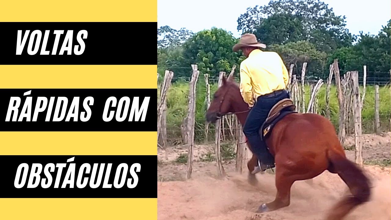 COMO ENSINAR SEU CAVALO A VIRAR RÁPIDO COM USANDO A CERCA