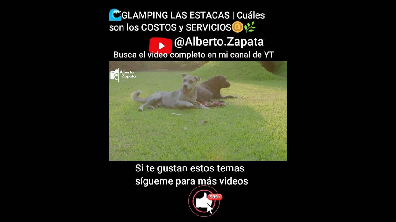 Glamping las estacas pt 2 #GlampingLasEstacas#LasEstacasMorelos#GlampingMexico