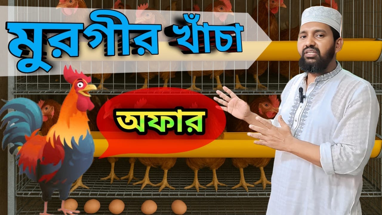 ৩৬ পিছ লেয়ার মুরগির খাঁচা । টাইগার/ফাওমি/দেশি মুরগির খাঁচা । মুরগির খাঁচার দাম