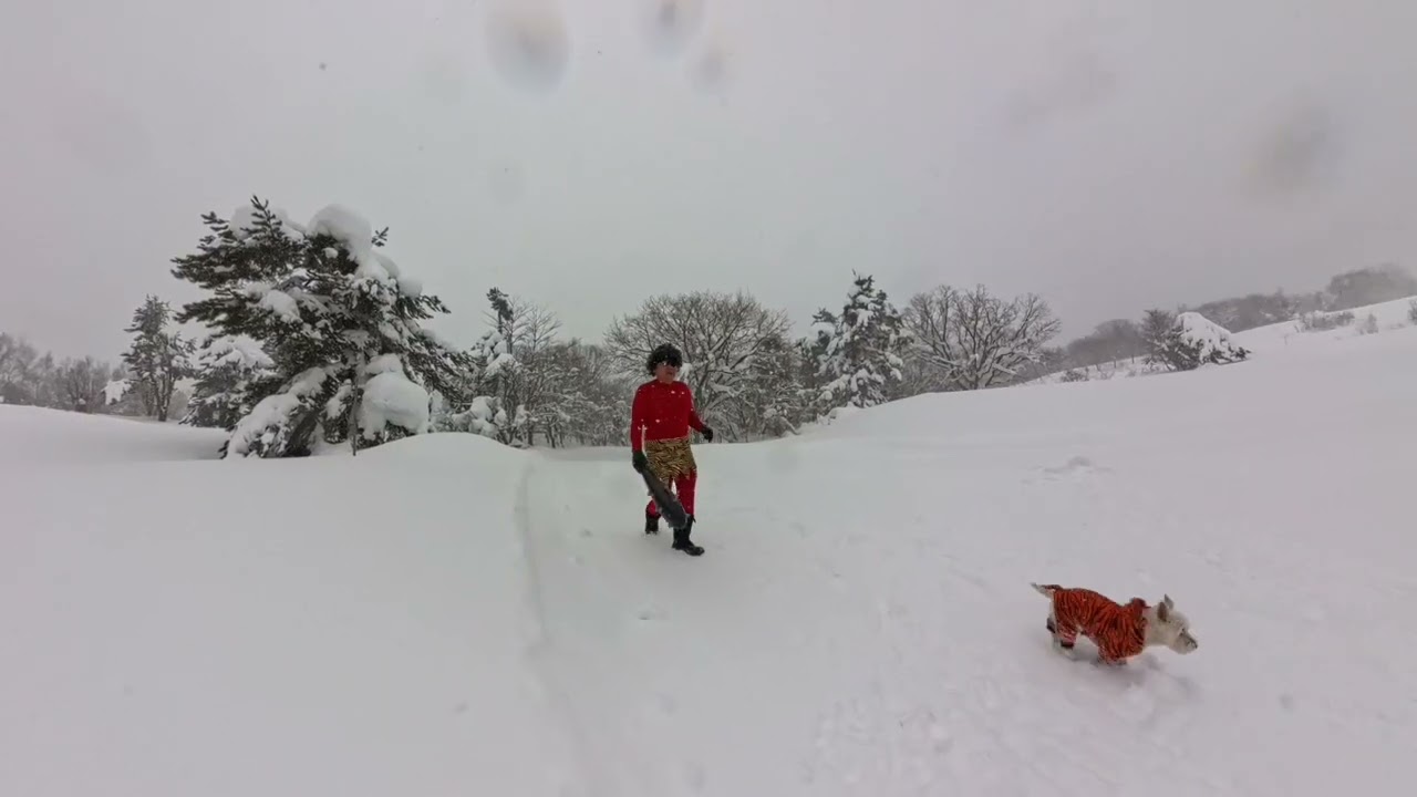 メイちゃんのスッタカ節分音頭