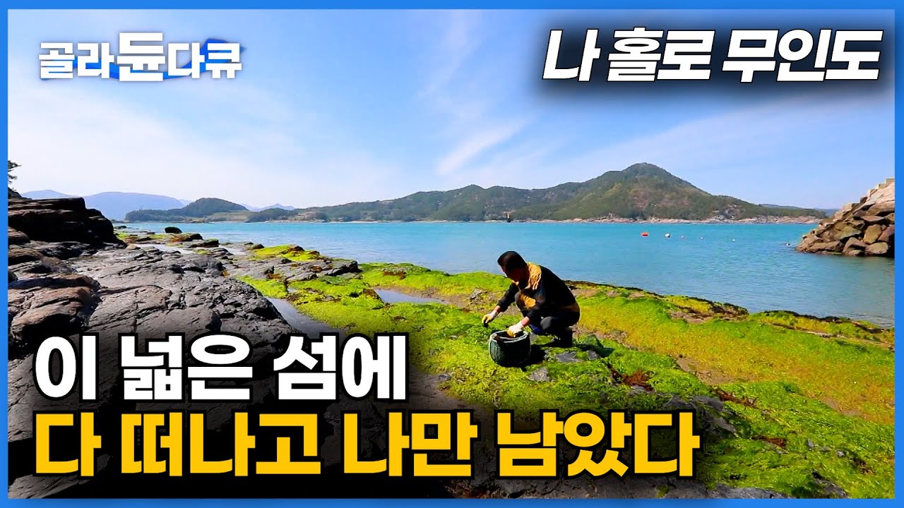 고향집에 돌아왔는데... 아무도 없다. 나 홀로 무인도 살이 시작ㅣ돈 걱정은 하나도 안 든다는 섬살이ㅣ한국기행│#골라듄다큐