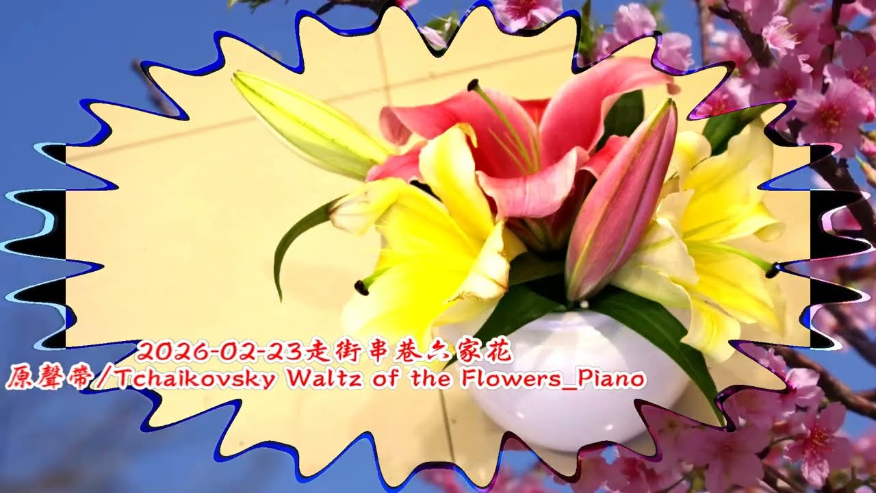 2026-02-23走街串巷六家花