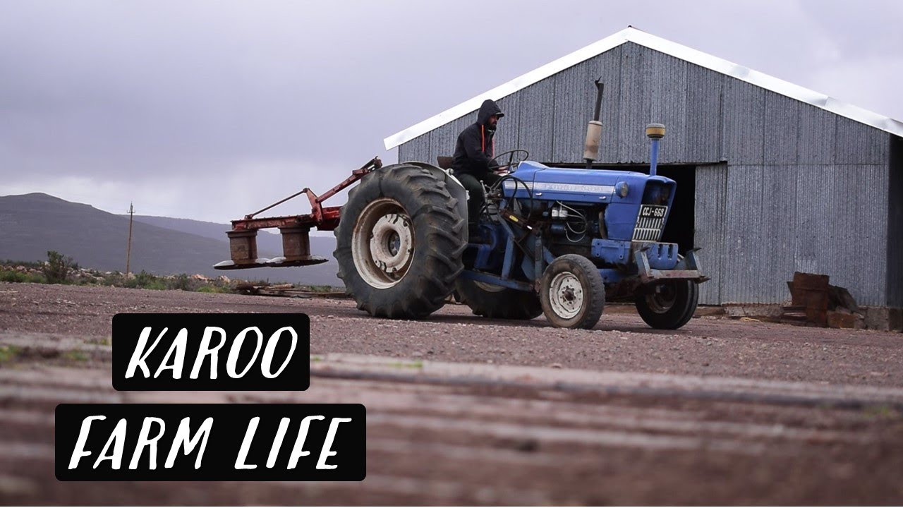 Karoo Farm Life | KAROO KIDS