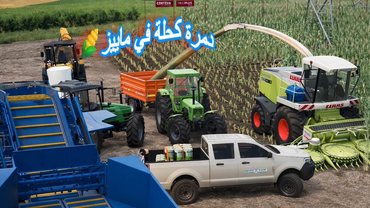 حصاد بيفو تاع ماييز 🌽 مع حاج طيب كانت غلة كبيرة خير ما عطى ربي يبارك
