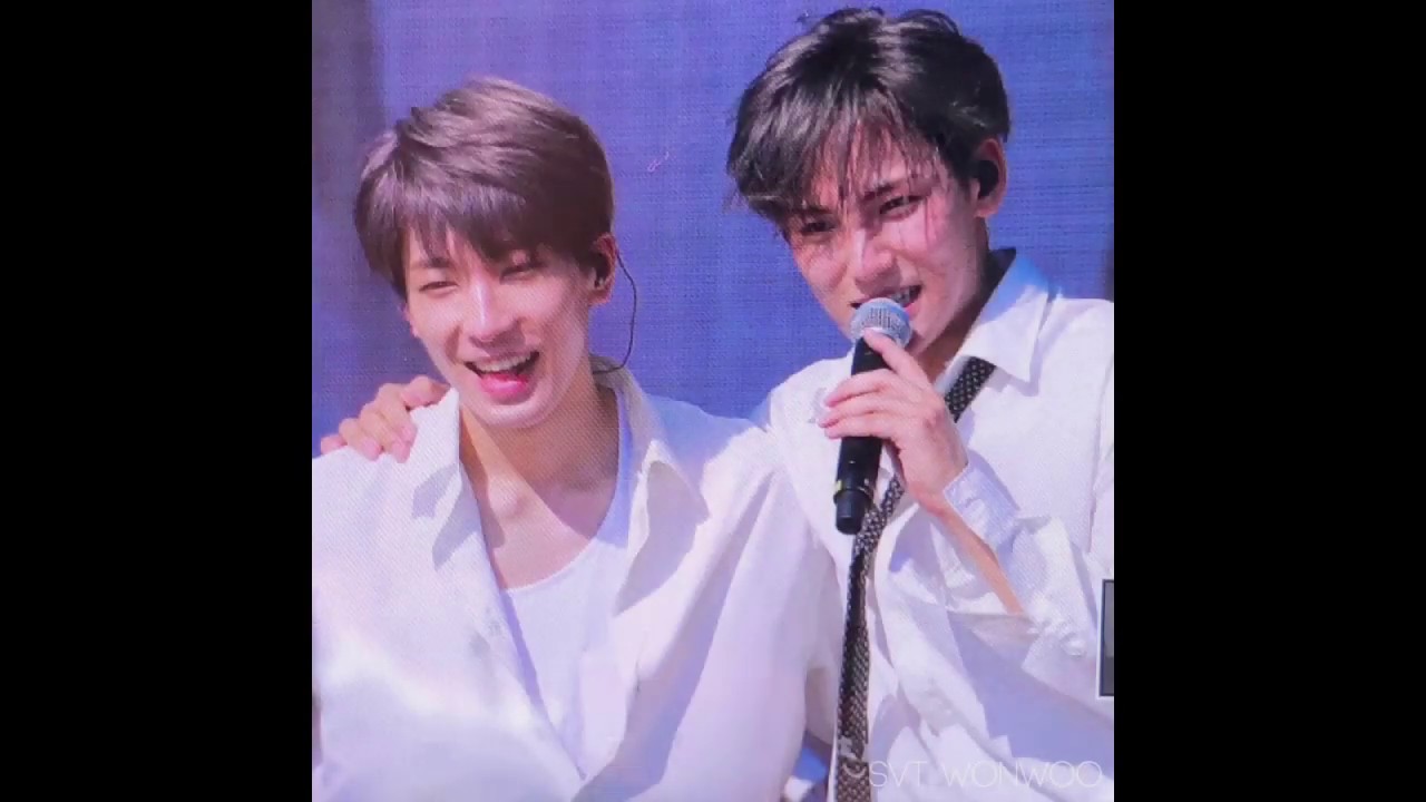 SEVENTEEN Mingyu X Wonwoo - Meanie couple moments