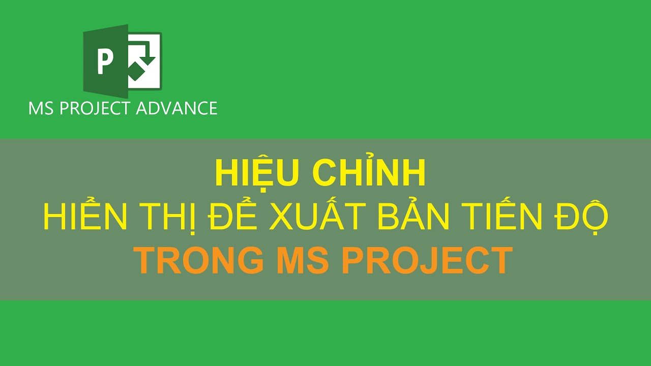 Hiệu chỉnh hiển thị để xuất bản tiến độ trong MS Project - MS Project Advance