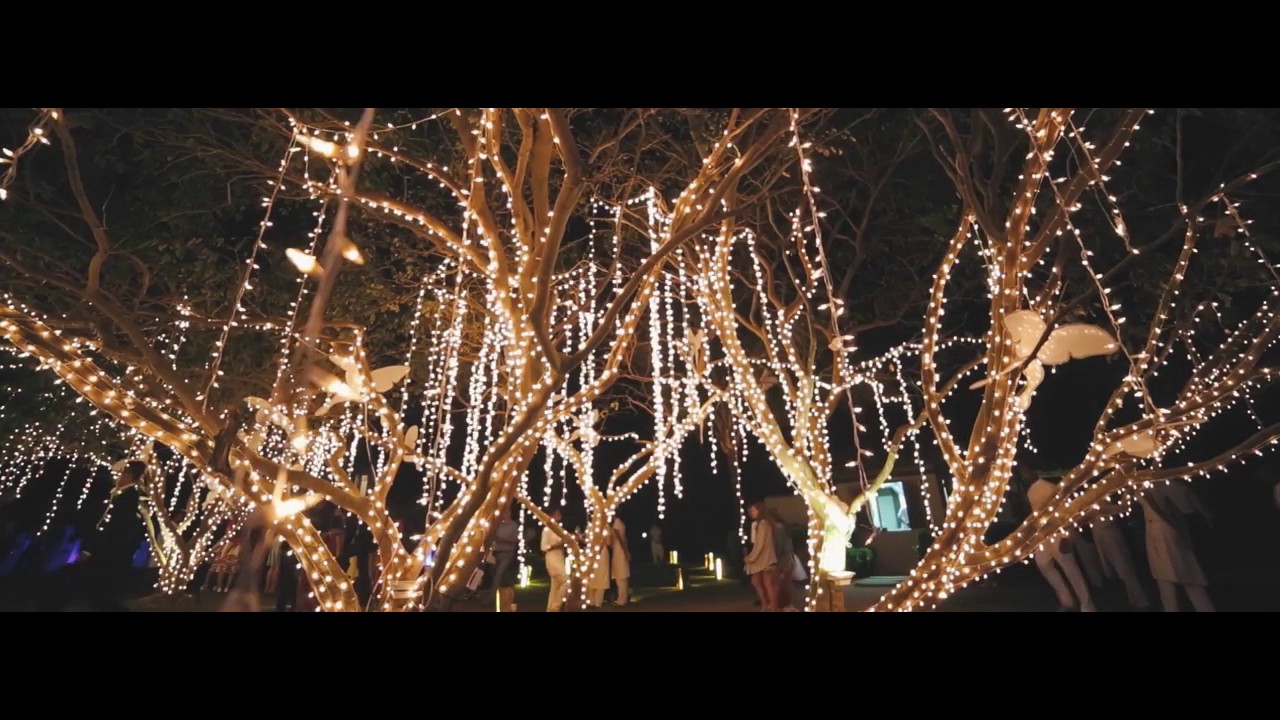 ceo - lux resort - wedding