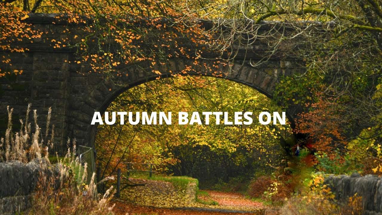 Autumn colours battle on 