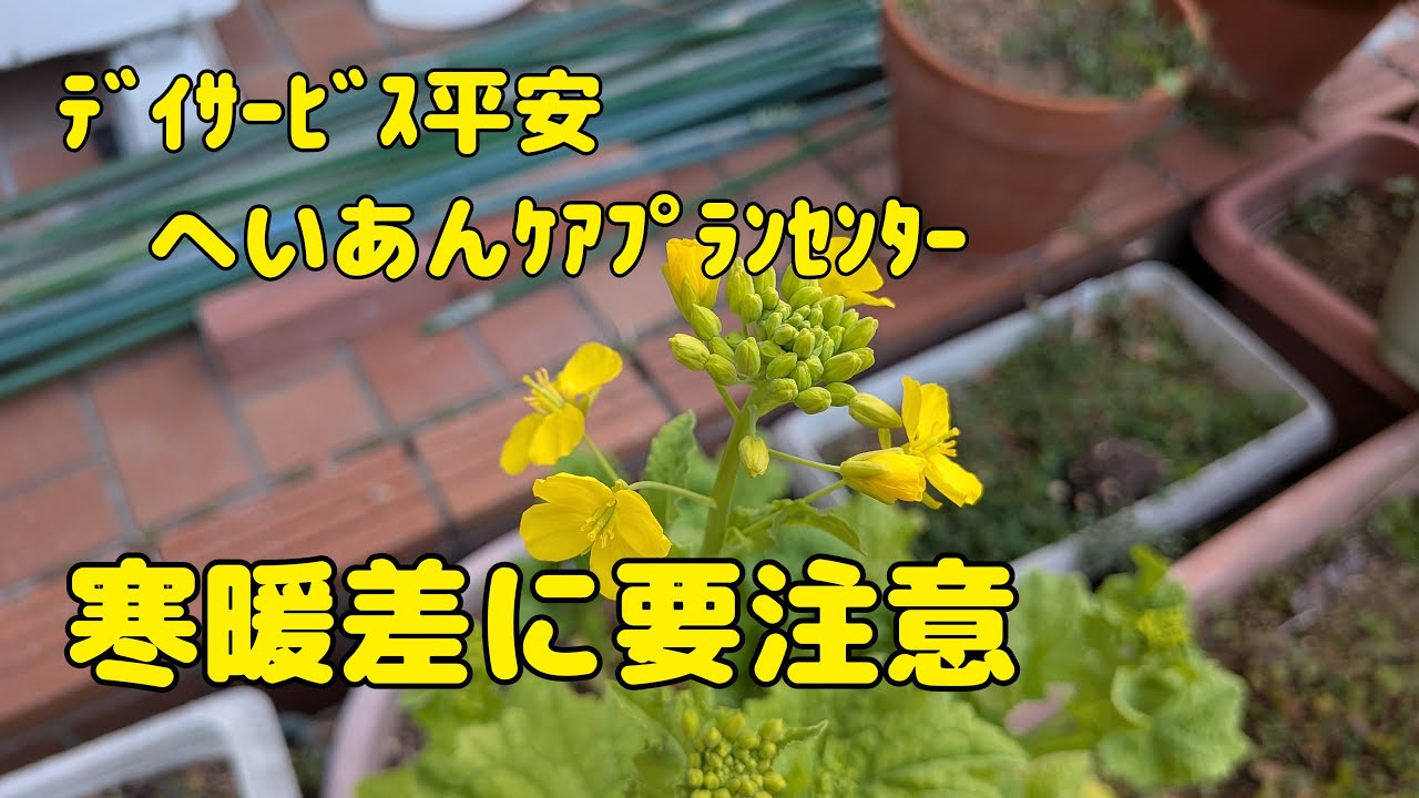 【Vlog755】ﾃﾞｲｻｰﾋﾞｽ平安　へいあんｹｱﾌﾟﾗﾝｾﾝﾀｰ  寒暖差に要注意