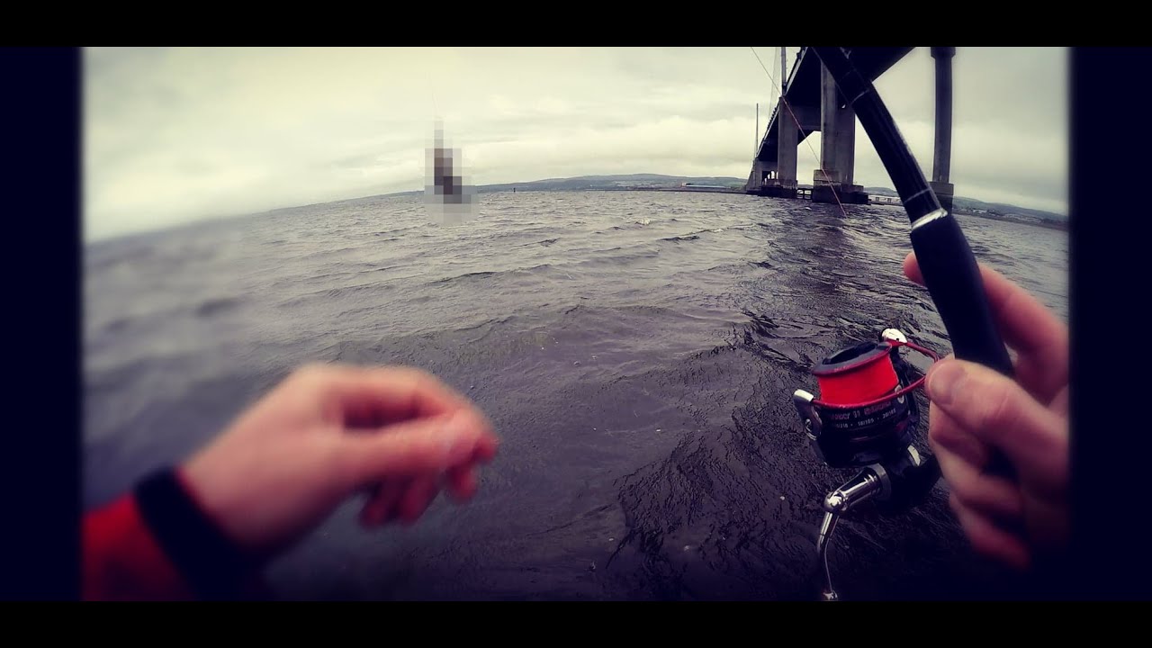 Sea fishing - Unexpected catch - Moray Firth / Inverness