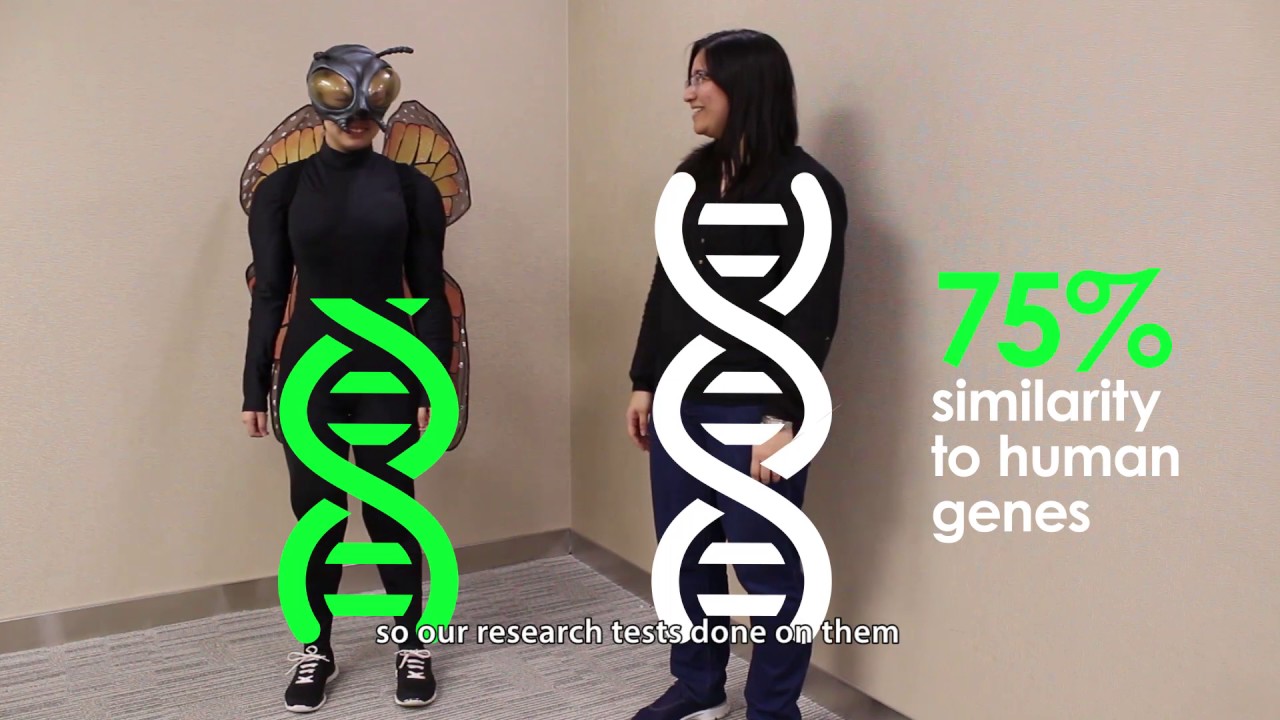 Reversing Parkinson's Damage | Science In The Hospital