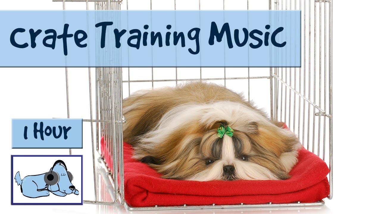 Crate Training Made Easy! Use Music to Keep your Dog Happy in it's Crate! 🐶 #CRATE06