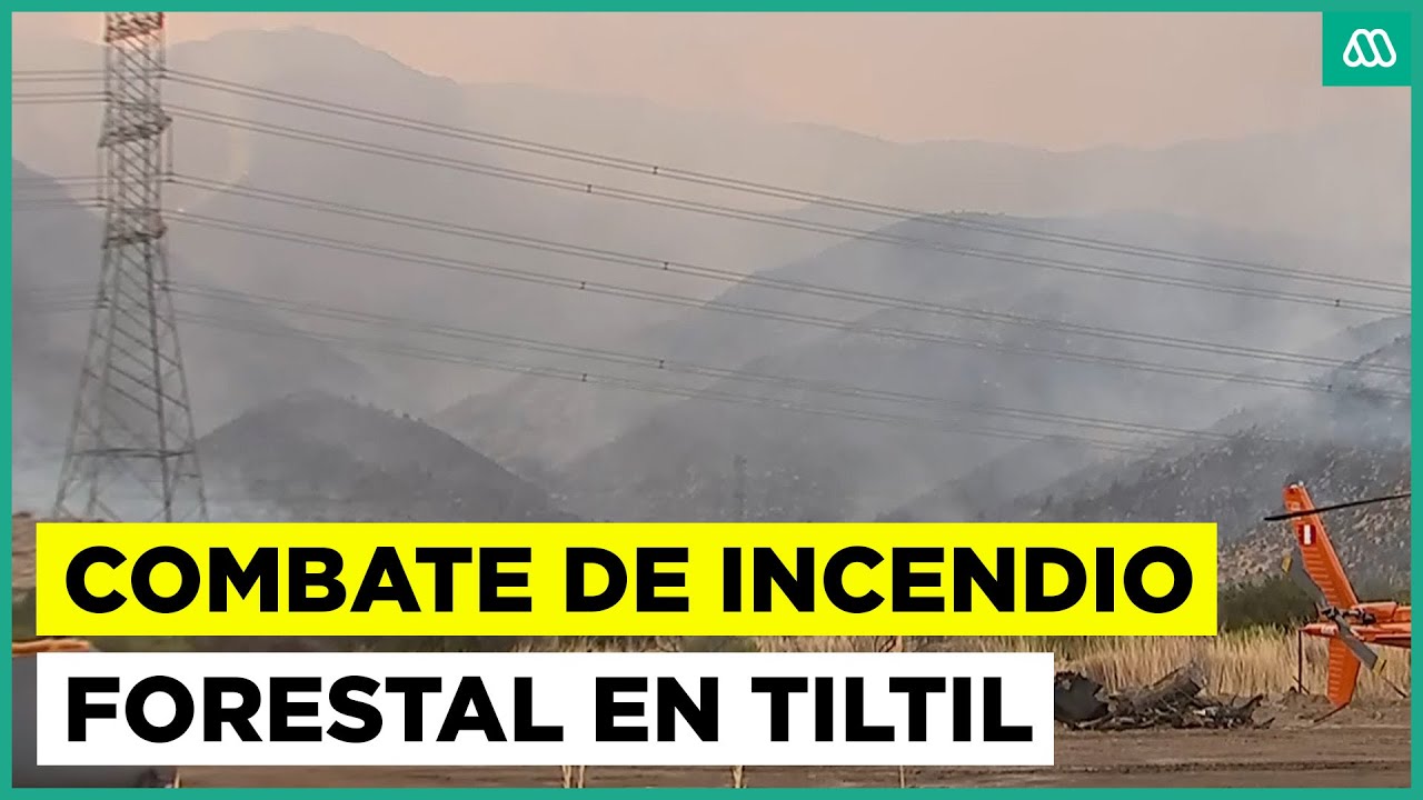 Fuego ha consumido casi 900 hect&aacute;reas: Feroz incendio forestal en Tiltil