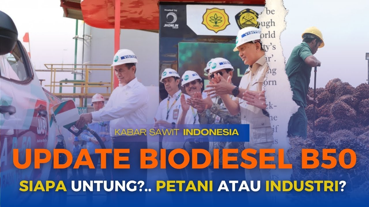 Biodiesel B50: Apa Dampaknya ke Harga TBS? Petani Sawit Wajib Tau.