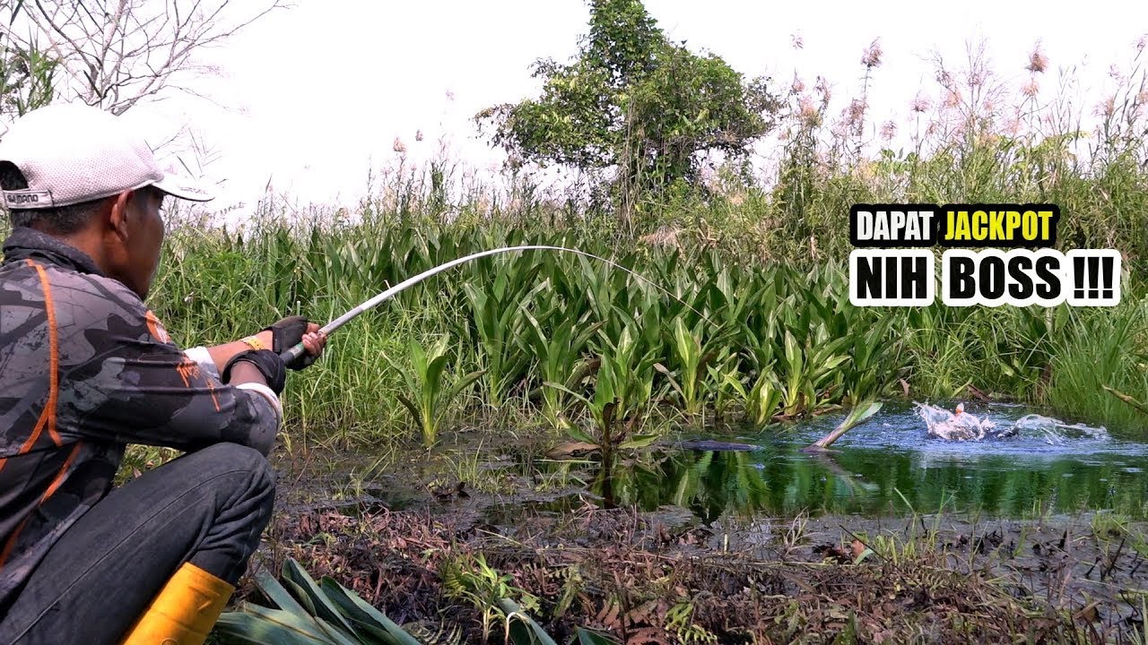 Bahagianya bukan main dapat spot mancing begini #SG-464