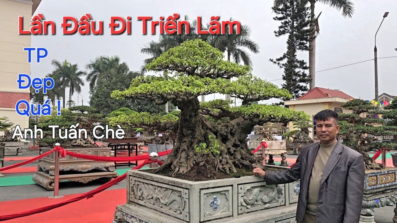 SOI KỸ CÂY QUÝ của anh TUẤN CHÈ lần đầu đi Triển Lãm * TL NINH GIANG 2026 *.