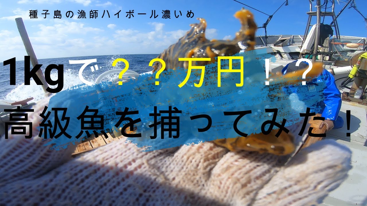 『一攫千金！！』１Kg○○万円！？　超ハード！！種子島の漁師のモジャコ漁！　　＜前編＞