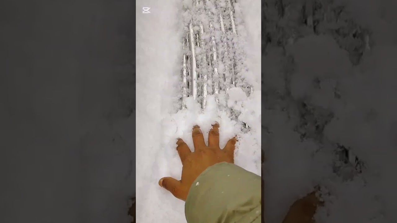 SNOW# ❄️❄️#FALLS#JAPAN#TOKYO##snowfallajapantokyo