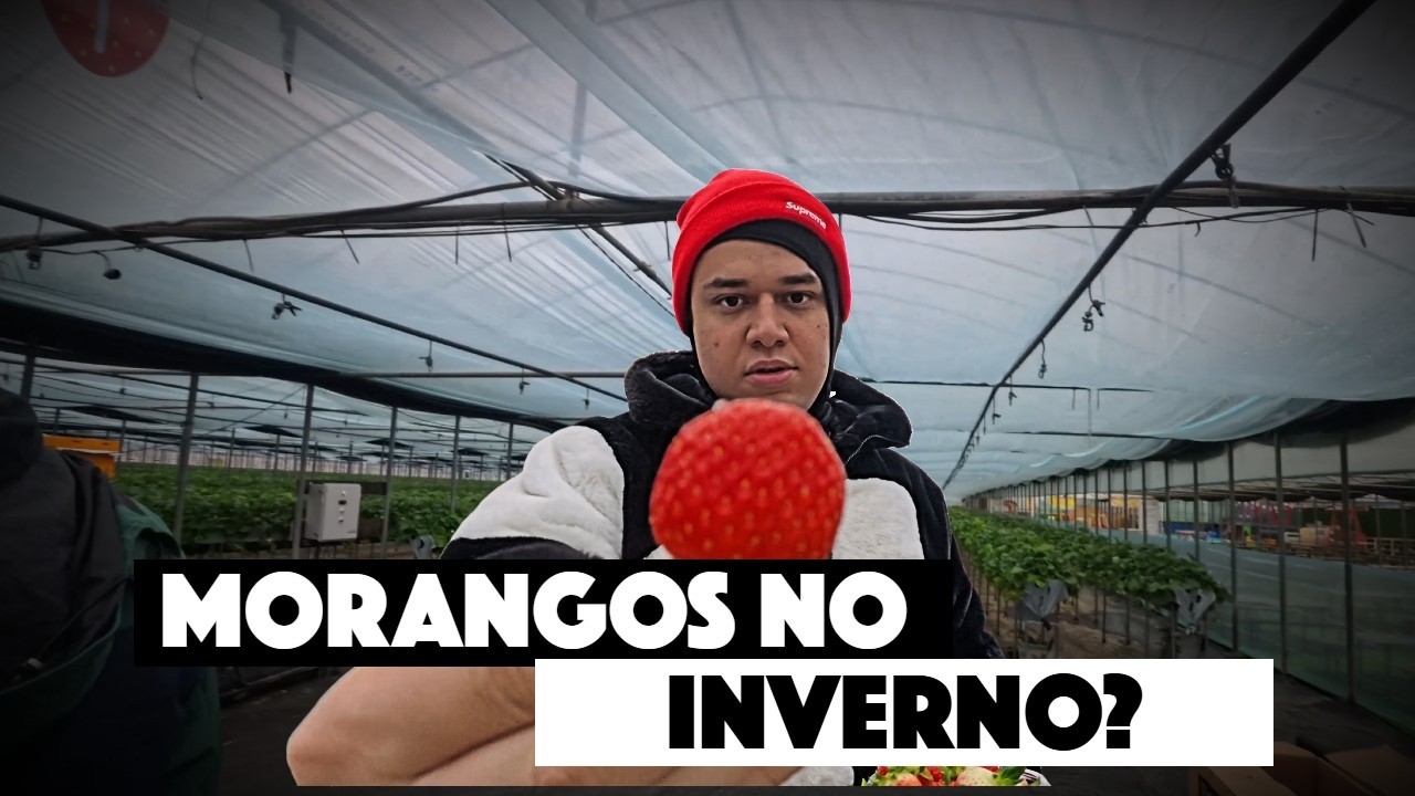 Como é o inverno na Coreia do Sul. Morangos, neve e comida típica