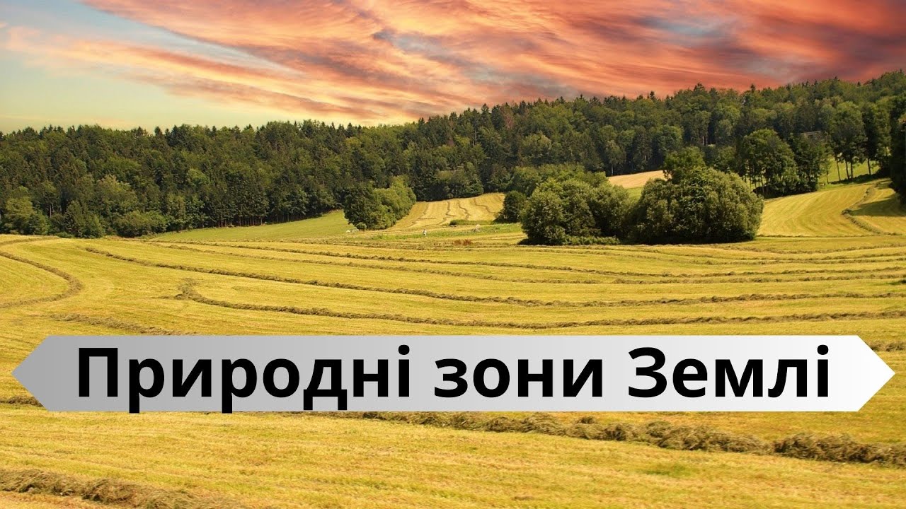 Природні зони Землі та їх особливості 🐂 ЯДС 4кл.🐪 підручник Жаркова🌲