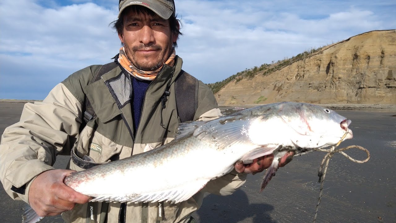 Pesca de robalos marzo 2021