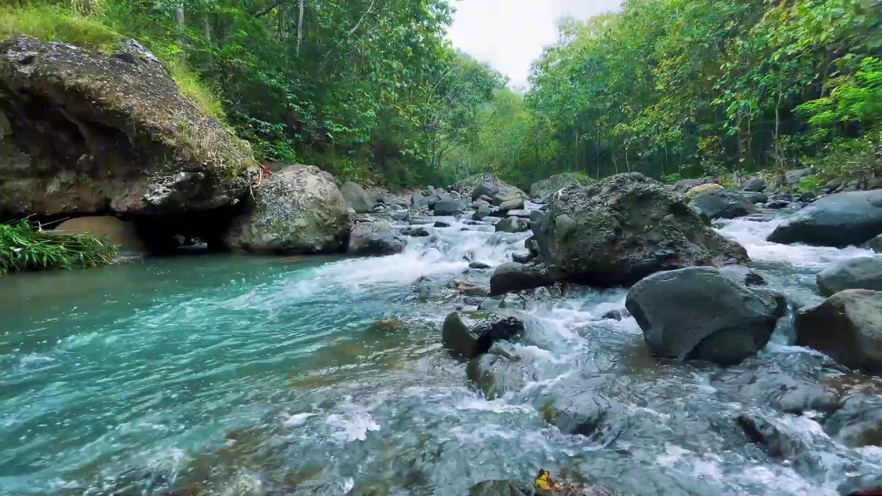 River Sounds for Deep Sleep (No Music, Natural Water)