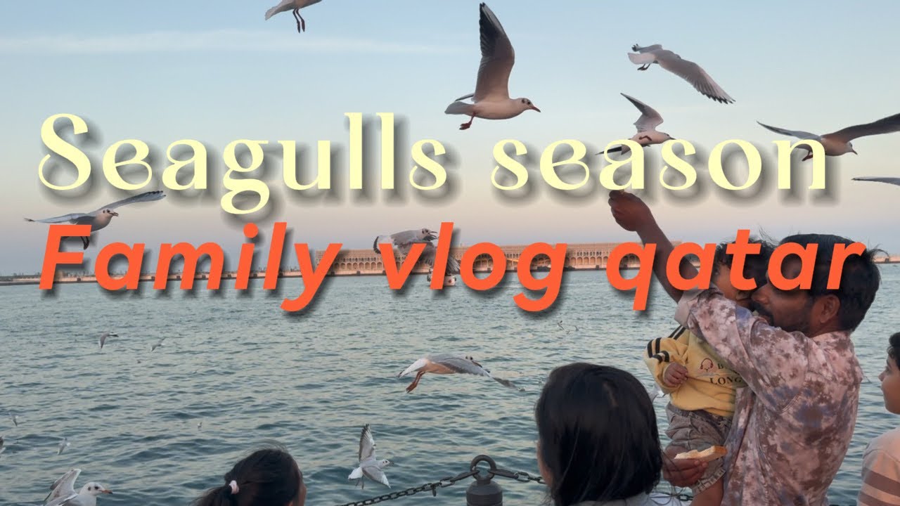 Seagulls season|part2qatar|qatarfamilyvlog|old doha port|#viralvideo #qatarmetro #qatartourism 