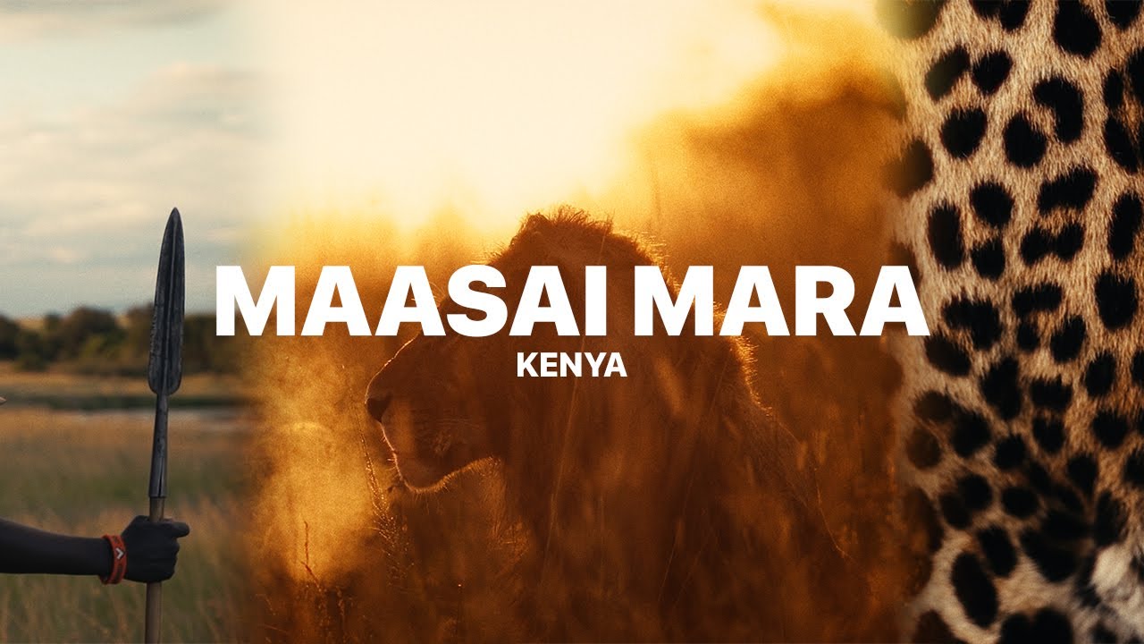 MAASAI MARA | Follow Your Ishara | SAFARI CINEMATIC
