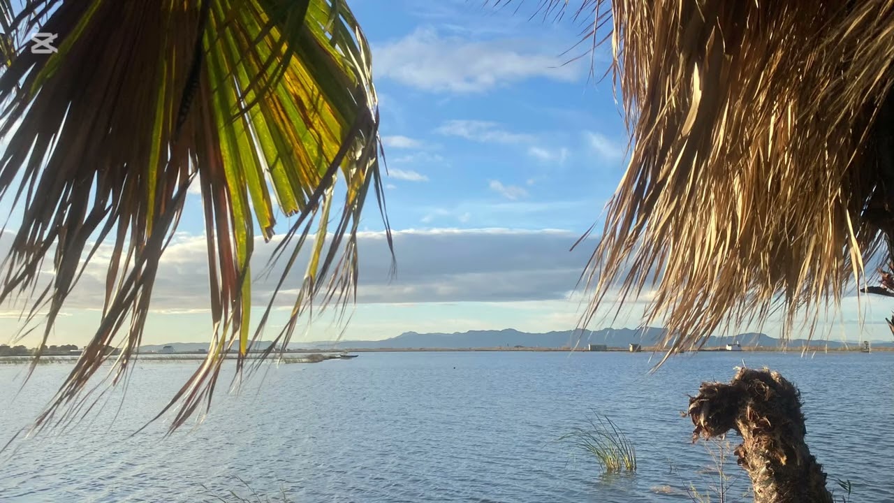 Luz que enamora