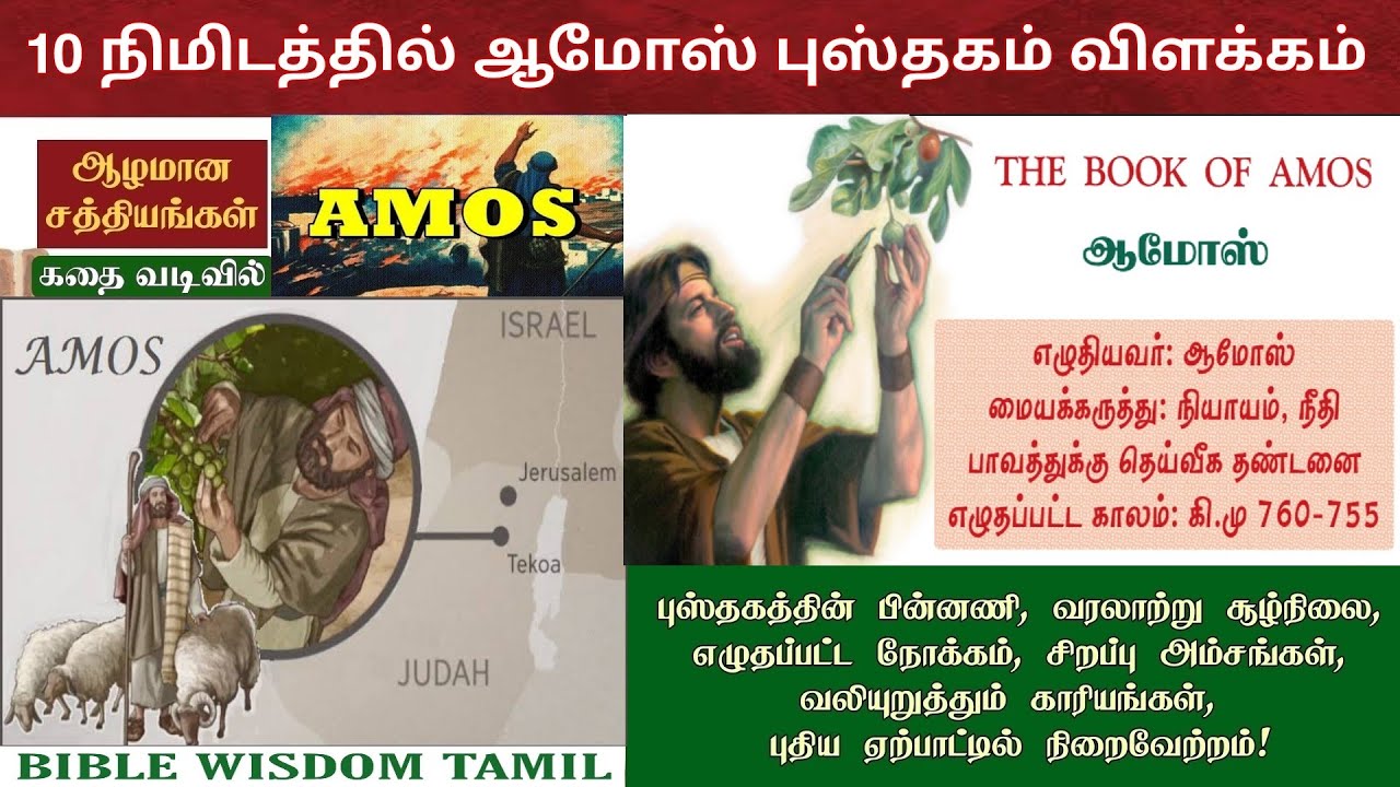 Amos bible story in tamil | ஆமோஸ் புத்தகம் விளக்கம் | The book of amos