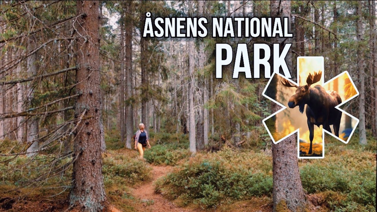 Eye to Eye with a MOOSE || NATIONAL PARK &Aring;SNEN ep.35 #hiking#moose #nationalpark#newvideo#wilderness