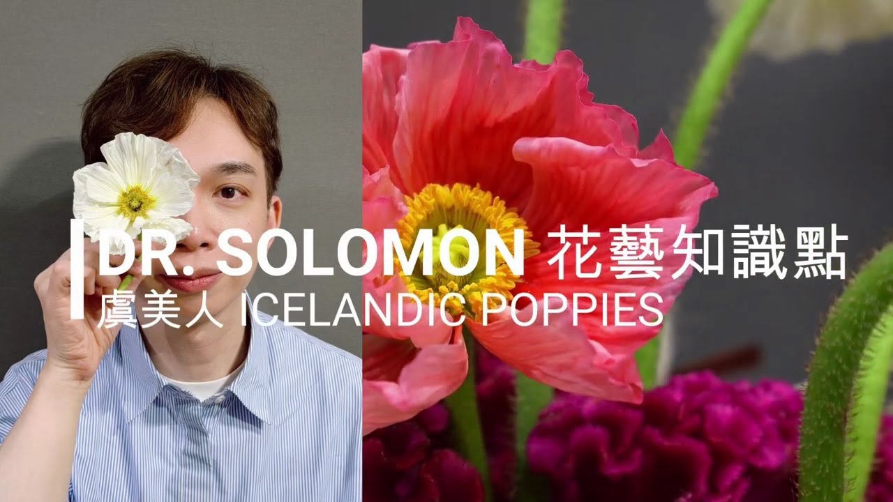 插花藝術知識點 - Poppy篇 | 大師SOLOMON 花藝教室