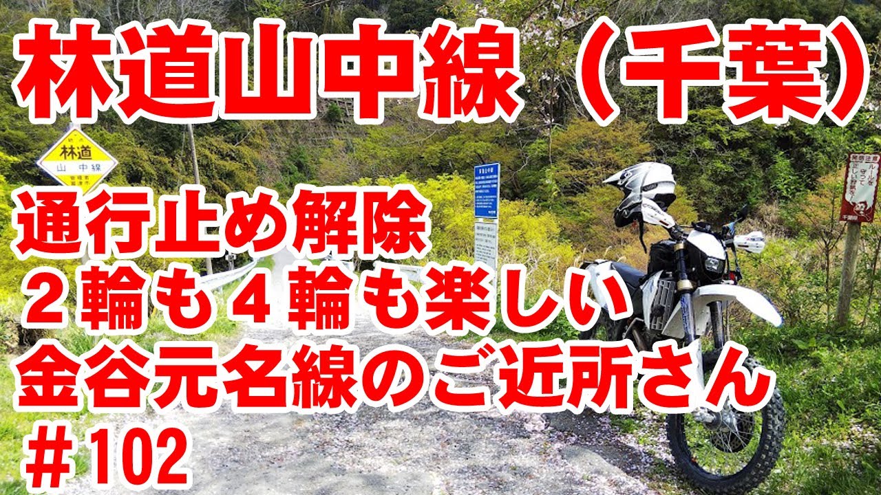 【通行止解除】林道山中線を全線すべて見せます【房総横断ルート】