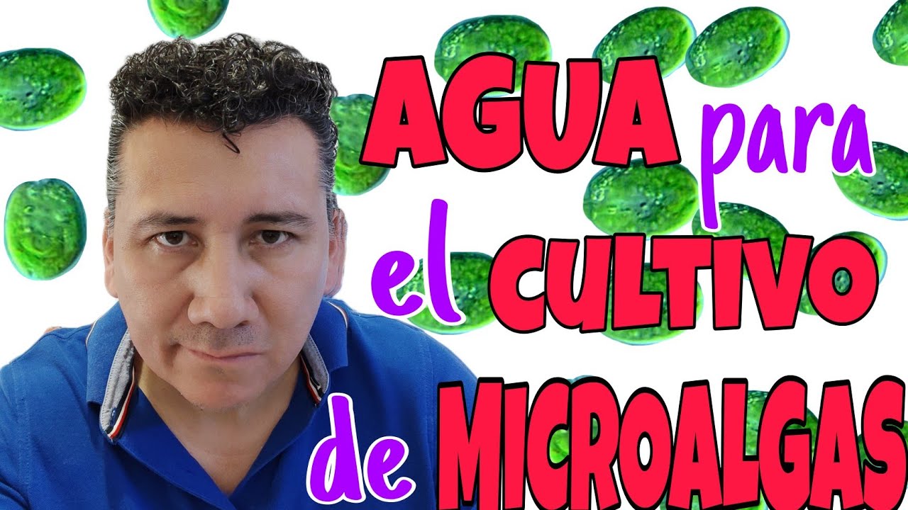 AGUA PARA EL CULTIVO DE MICROALGAS, NO LA CONTAMINES