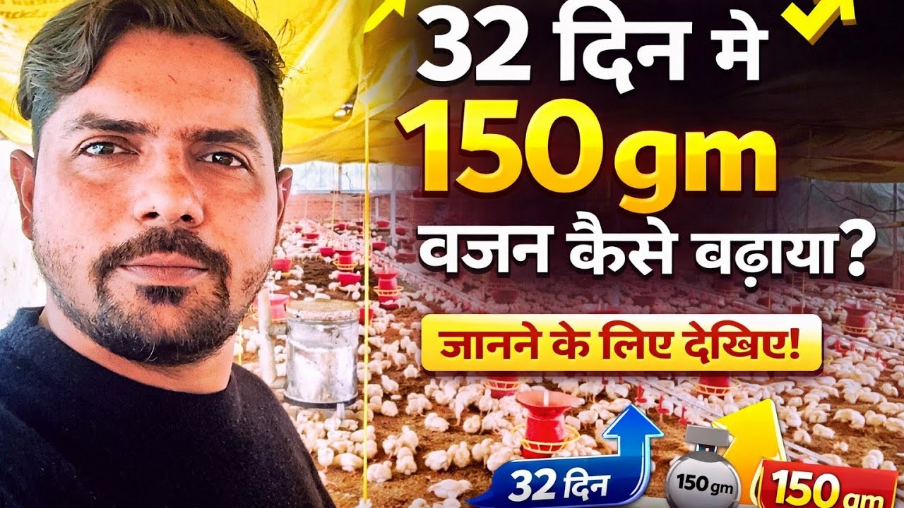 Day 32 एक दिन में 150 gm बजन कैसे बढ़ाया /150 gm bajan kaise kiya video dekh lo 