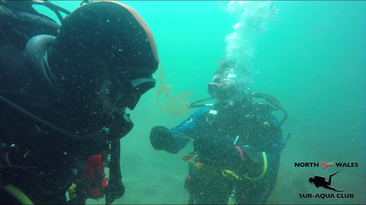 Shore Dive at Cable Bay, Anglesey