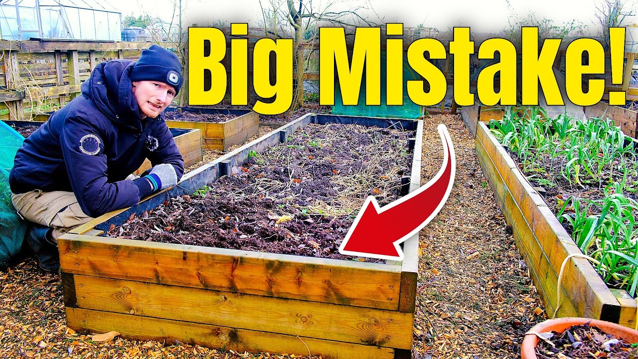 Raised Garden Bed Mistakes To AVOID