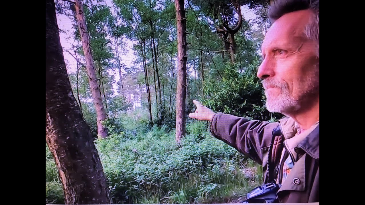 That's a tiny wren - wow so loud  - Let me share with you some of our forest bird songs
